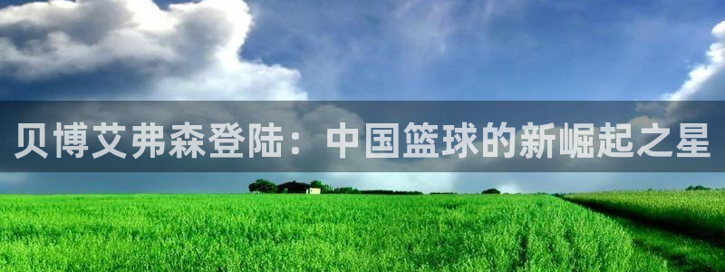 先锋娱乐体育免费注册入口：贝博艾弗森登陆：中国篮球的新崛起之星