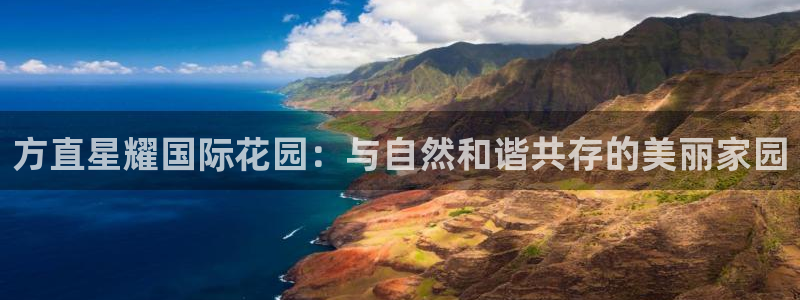 成都先锋娱乐电子有限公司