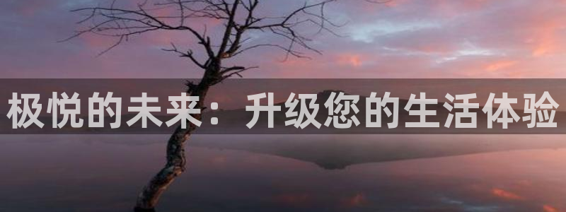 先锋娱乐体育2官网入口：极悦的未来：升级您的生活体验