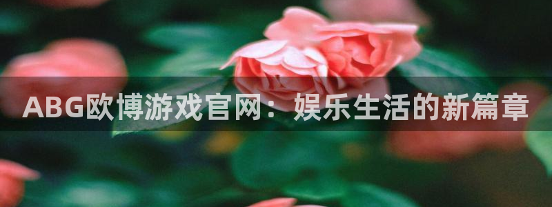 成都先锋娱乐电子有限公司：ABG欧博游戏官网：娱乐生活的新篇章