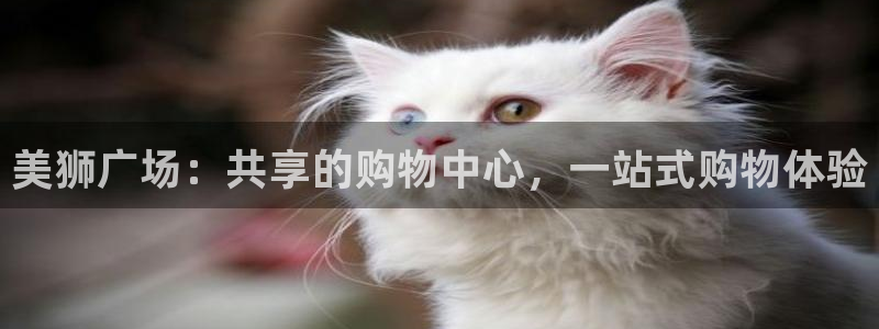 先锋娱乐官网注册：美狮广场：共享的购物中心，一站式购物体验