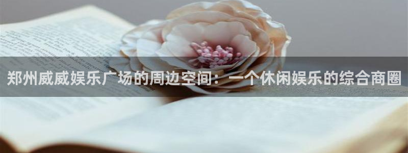 东莞市先锋娱乐电子科技有限公司：郑州威威娱乐广场的周边空间：一个休闲娱乐的综合商