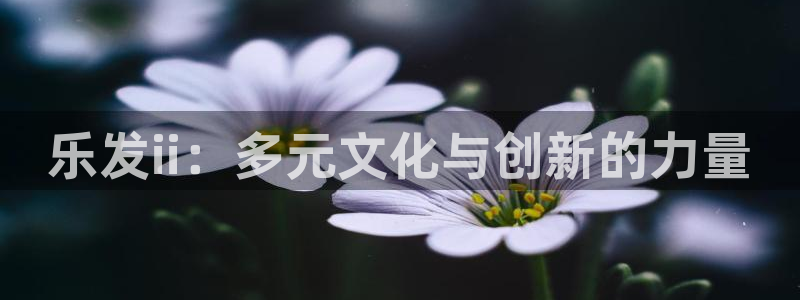 先锋娱乐f凯捷注册：乐发ii：多元文化与创新的力量