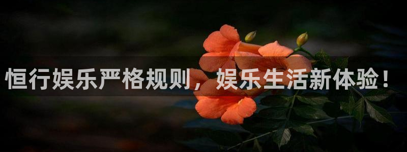 先锋娱乐3代理：恒行娱乐严格规则，娱乐生活新体验！