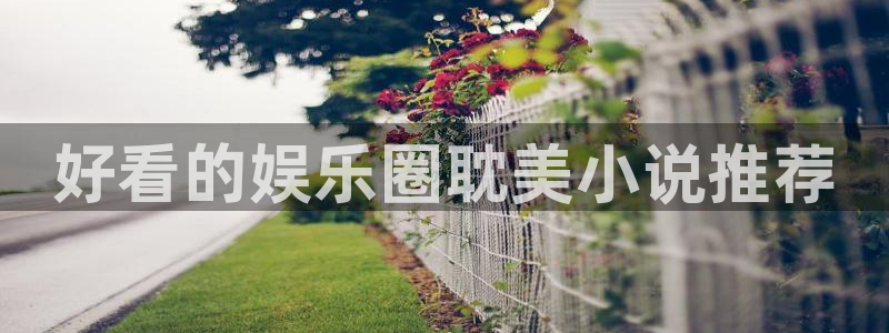 先锋娱乐2官网：好看的娱乐圈耽美小说推荐