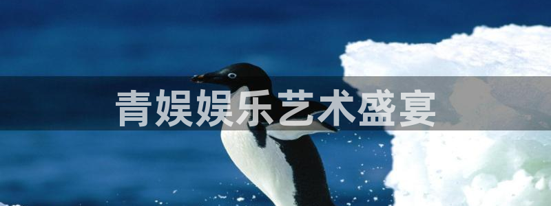先锋娱乐体育在线注册：青娱娱乐艺术盛宴