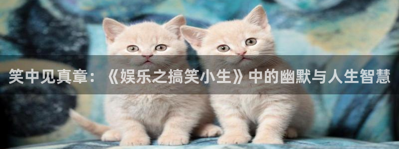 先锋娱乐3：笑中见真章：《娱乐之搞笑小生》中的幽默与人生智慧