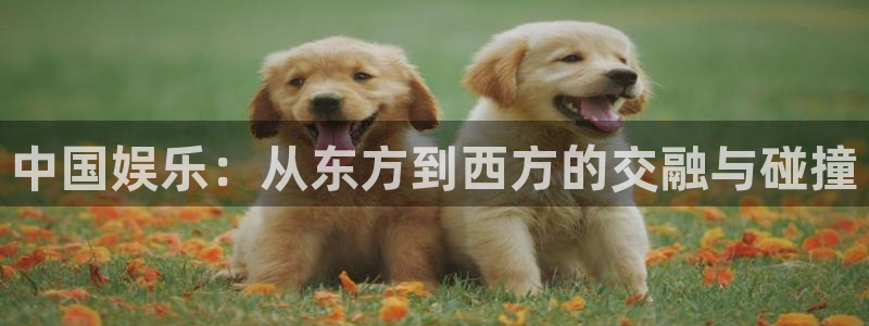 东莞市先锋娱乐电子科技有限公司：中国娱乐：从东方到西方的交融与碰撞