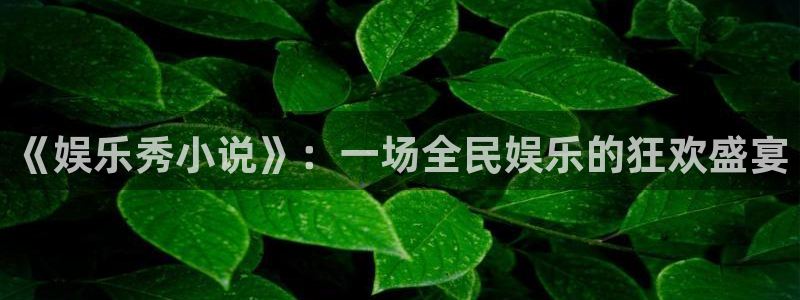 先锋娱乐3平台登录注册：《娱乐秀小说》：一场全民娱乐的狂欢盛宴