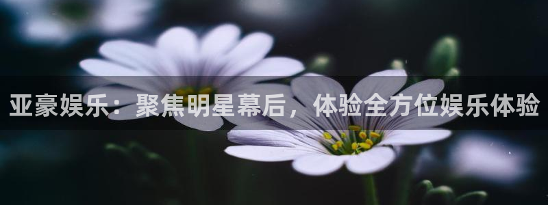 先锋娱乐体育凯捷平台招商：亚豪娱乐：聚焦明星幕后，体验全方位娱乐体验