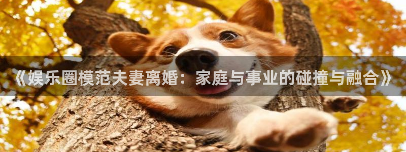 先锋娱乐4：《娱乐圈模范夫妻离婚：家庭与事业的碰撞与融合》