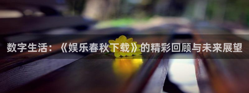 先锋娱乐体育老板是谁：数字生活：《娱乐春秋下载》的精彩回顾与未来展望
