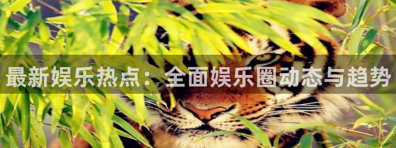 先锋娱乐体育凯捷登陆：最新娱乐热点：全面娱乐圈动态与趋势
