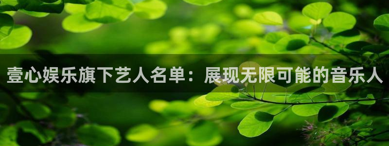 先锋娱乐体育平台登录入口：壹心娱乐旗下艺人名单：展现无限可能的音乐人