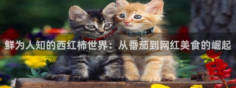 先锋娱乐平台注册入口：鲜为人知的西红柿世界：从番茄到网红美食的崛起
