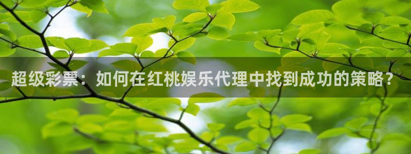 先锋娱乐f平台注册：超级彩票：如何在红桃娱乐代理中找到成功的策略？