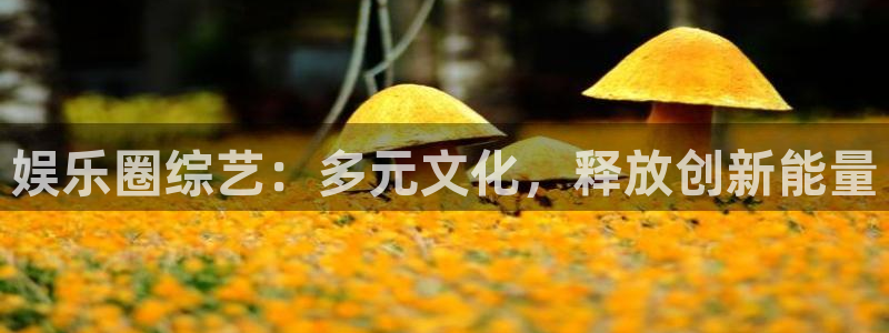 先锋娱乐平台开户链接：娱乐圈综艺：多元文化，释放创新能量