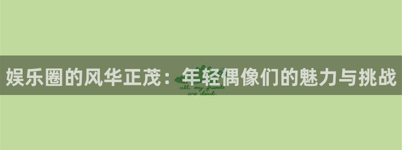 先锋娱乐体育官网：娱乐圈的风华正茂：年轻偶像们的魅力与挑战