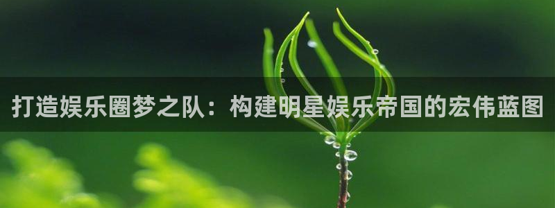 成都先锋娱乐电子有限公司：打造娱乐圈梦之队：构建明星娱乐帝国的宏伟蓝图