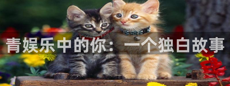 先锋娱乐体育官网：青娱乐中的你：一个独白故事