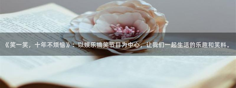 先锋娱乐平台在线注册：《笑一笑，十年不烦恼》：以娱乐搞笑节目为中心，让我们一起生