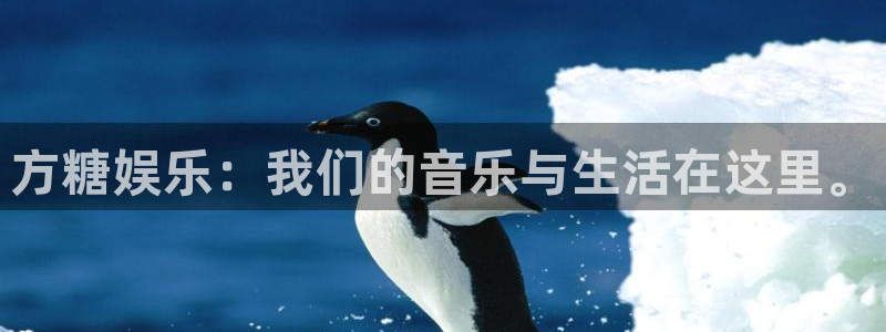 先锋娱乐电子有限公司：方糖娱乐：我们的音乐与生活在这里。