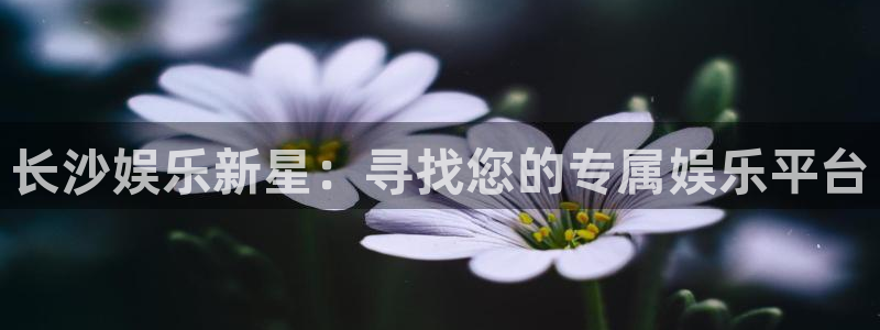 先锋娱乐2注册：长沙娱乐新星：寻找您的专属娱乐平台