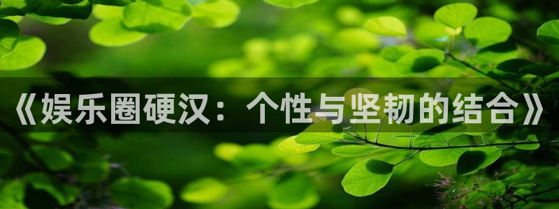 先锋娱乐集团官网：《娱乐圈硬汉：个性与坚韧的结合》