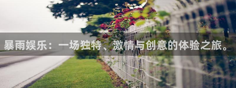 先锋娱乐3官网：暴雨娱乐：一场独特、激情与创意的体验之旅。